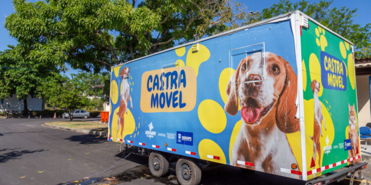 Secretaria de Estado da Saúde desenvolve ações voltadas à assistência e saúde preventiva dos animais