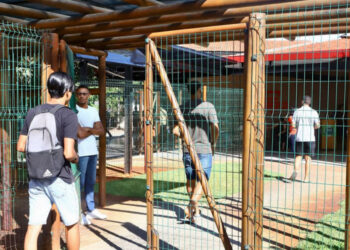 Banca organizadora divulga resultados preliminares do concurso do Banese