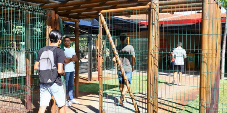 Banca organizadora divulga resultados preliminares do concurso do Banese