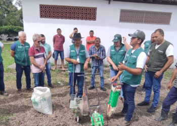 Produtores participam de ensaios desenvolvidos pela Emdagro sobre variedades de milho em Boquim