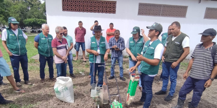 Produtores participam de ensaios desenvolvidos pela Emdagro sobre variedades de milho em Boquim