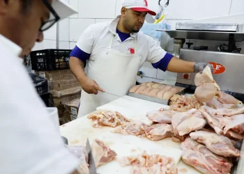Gripe aviária: 17 países suspendem restrição à carne brasileira 
