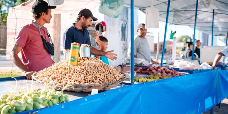 Prefeitura de Lagarto dá início ao projeto de escoamento de produtos agrícolas e possibilita aumento do lucro de produtores em 50%