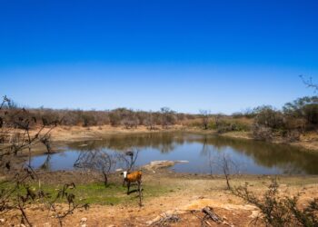 Cinco municípios sergipanos permaneceram em seca grave durante o mês de maio