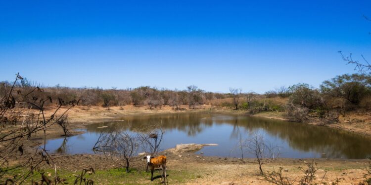 Cinco municípios sergipanos permaneceram em seca grave durante o mês de maio