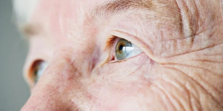 Pacientes com diabetes têm mais chances de desenvolver doenças da retina, alerta especialista
