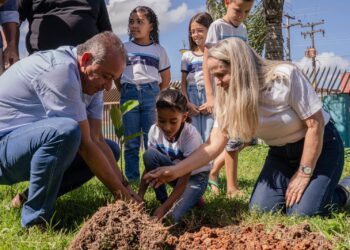 No dia do Meio Ambiente, prefeita em exercício Suely Menezes participa do plantio de árvores em Lagarto