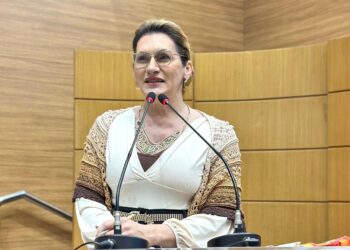 Linda Brasil denuncia precarização do trabalho de cuidadoras nas creches