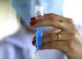 Anvisa avalia desenvolvimento de vacina contra gripe aviária para humanos