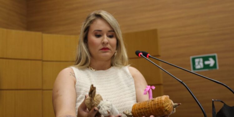 Kitty Lima denuncia venda ilegal de fogos de artifício e cobra fiscalização