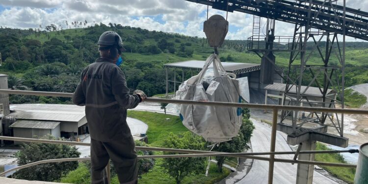 Denarc incinera mais de duas toneladas de drogas apreendidas em ações e operações das forças de segurança pública de Sergipe