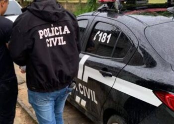 Polícia Civil identifica suspeito de matar gatos a pauladas em Porto da Folha