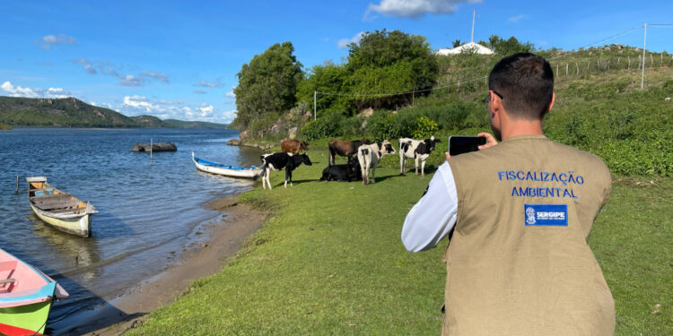 Órgãos estaduais realizam ação em Unidade de Conservação e Área de Preservação Permanente em Poço Redondo