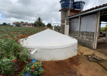 Resultado provisório do edital do Programa Cisternas já está disponível