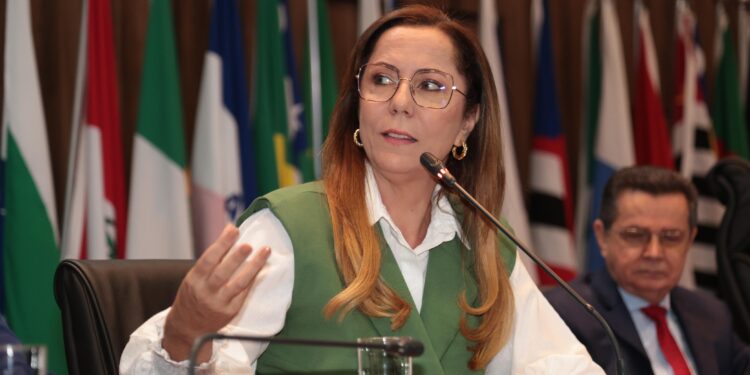 Fim dos lixões: em parceria com o MP, Delegada Katarina entrega planos de recuperação de ecossistemas