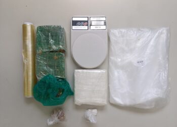 Polícia Civil prende mulher por tráfico de drogas na zona rural de Umbaúba