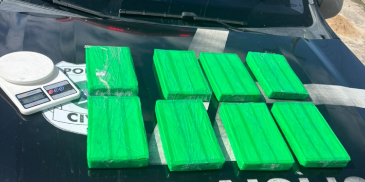 Polícia Civil apreende 8 kg de cocaína em operação conjunta na cidade de Lagarto
