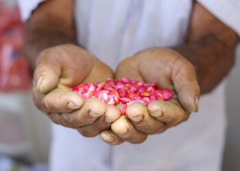 Secretaria da Agricultura realizará 1° Encontro do Produtor Rural no dia 25 de junho