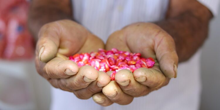 Secretaria da Agricultura realizará 1° Encontro do Produtor Rural no dia 25 de junho