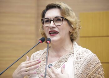 Linda Brasil fala sobre operações de créditos solicitados pelo Poder Executivo