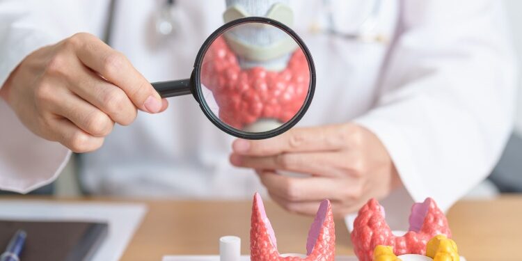 Ministério Público aciona o Poder Judiciário para garantir atendimento endocrinológico adequado a mais de 7 mil pacientes do SUS em Aracaju