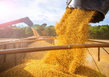 Produção de grãos deve crescer 14% e chegar a 340 milhões de toneladas, estima Conab