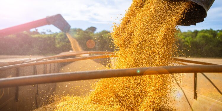 Produção de grãos deve crescer 14% e chegar a 340 milhões de toneladas, estima Conab