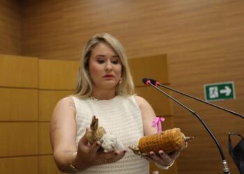 Sergipe dá passo histórico contra fogos barulhentos aprovada na Alese