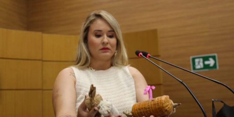 Sergipe dá passo histórico contra fogos barulhentos aprovada na Alese