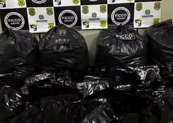 FICCO/SE apreende 110 kg de maconha em Frei Paulo
