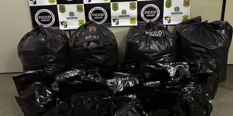 FICCO/SE apreende 110 kg de maconha em Frei Paulo