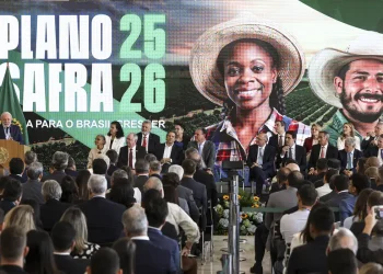 Governo lança Plano Safra de R$ 516,2 bilhões para agronegócio