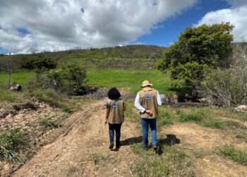 Adema e Emdagro fiscalizam denúncia sobre contaminação de vegetação por agrotóxicos em Simão Dias