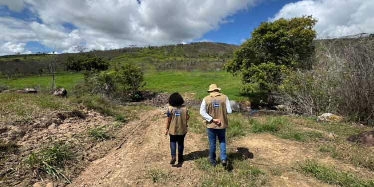 Adema e Emdagro fiscalizam denúncia sobre contaminação de vegetação por agrotóxicos em Simão Dias