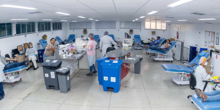 Hemose registra mais de 13.800 doações de sangue no primeiro semestre de 2025
