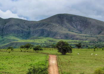 Serra da Miaba I vira Unidade de Conservação em São Domingos