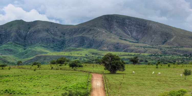 Serra da Miaba I vira Unidade de Conservação em São Domingos