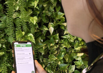 Banese lança serviço de atendimento médico online para correntistas