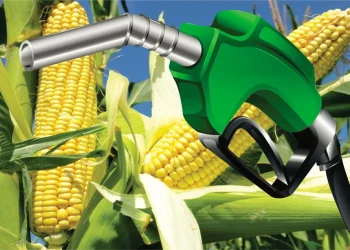 Petrobras avalia investir no mercado de etanol de milho