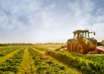 Agronegócio fomenta fortuna de quase 40 bilionários brasileiros