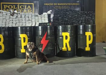 Polícia Militar apreende mais de 200 kg de maconha em Nossa Senhora do Socorro