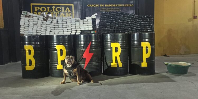 Polícia Militar apreende mais de 200 kg de maconha em Nossa Senhora do Socorro