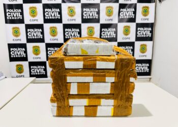 Polícia Civil prende mulher que transportava drogas entre os estados de Sergipe e Alagoas