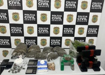 Polícia Civil prende dupla por tráfico de drogas e localiza plantação de maconha em Capela