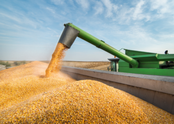 Com mais de 350 milhões de toneladas, produção de grãos no Brasil volta a registrar recorde