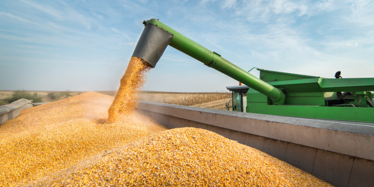 Com mais de 350 milhões de toneladas, produção de grãos no Brasil volta a registrar recorde