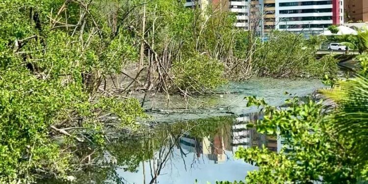 Tramandaí: Secretaria do Meio Ambiente realiza fiscalizações para identificar ligações clandestinas de esgoto