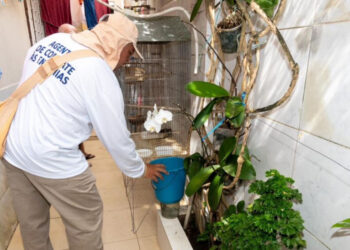 Quinto LIRAa do ano identifica seis municípios em Sergipe com alto índice de infestação do Aedes aegypti