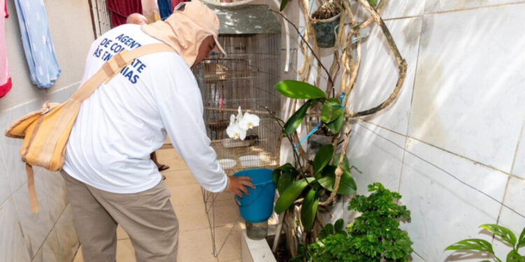 Quinto LIRAa do ano identifica seis municípios em Sergipe com alto índice de infestação do Aedes aegypti