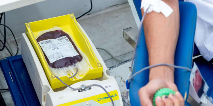 Hemose encerra coleta externa de sangue no RioMar Shopping com saldo positivo
